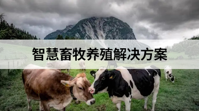 智慧畜牧