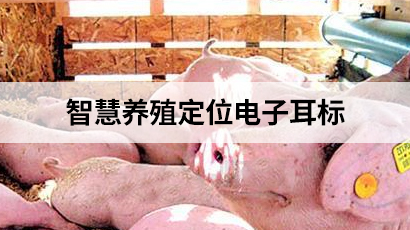 智慧养殖定位电子耳标