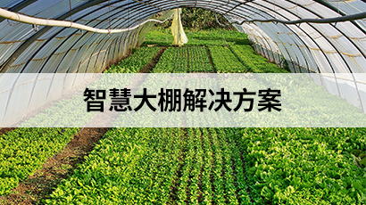 智慧大棚解决方案